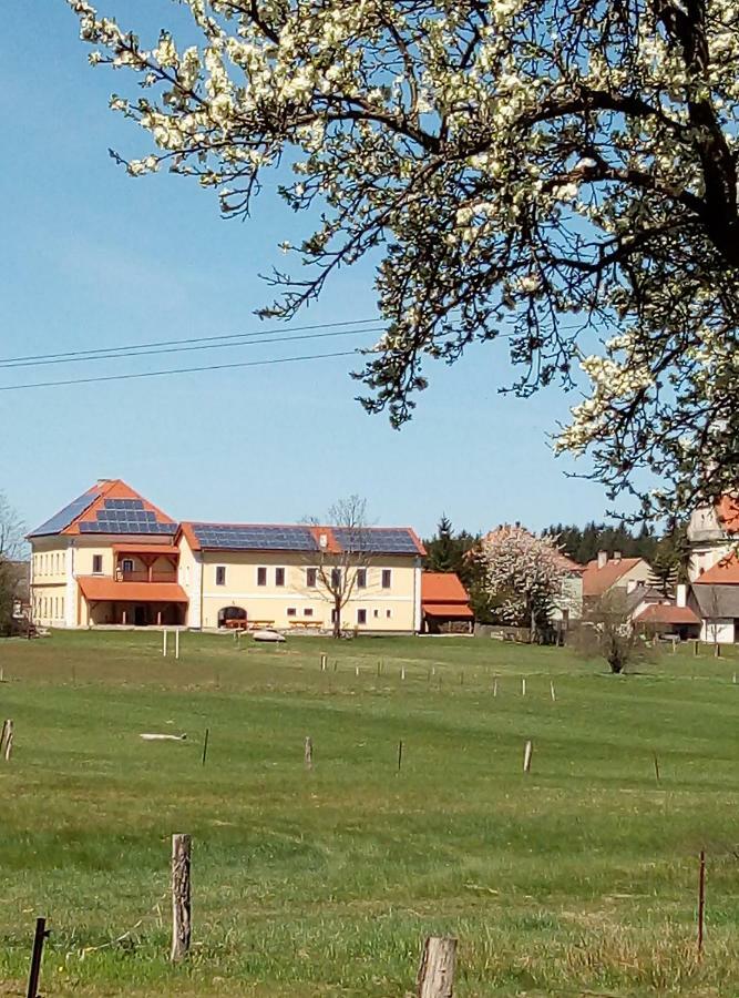 Penzion Hůrky Nová Bystřice Exteriér fotografie